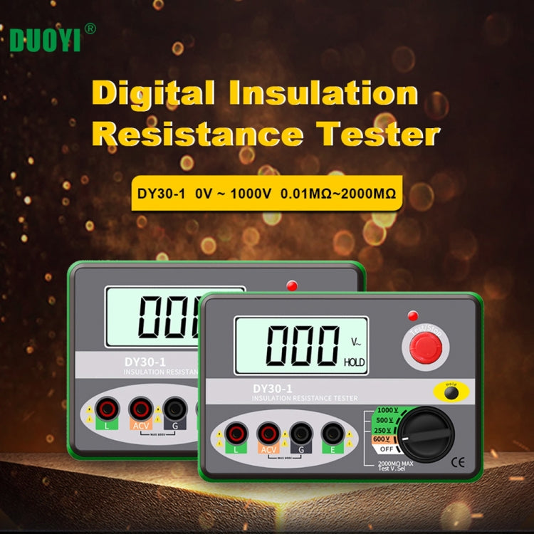 DUOYI DY30-1 Car Digital Insulation Resistance Tester Meter, DY30-1