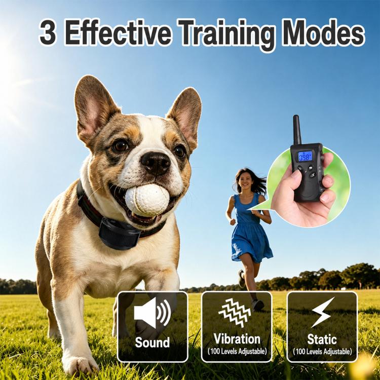 PaiPaitek PD520S Remote Controll Anti Barking Pet Dog Training Collar, PD520S-1, PD520S-2
