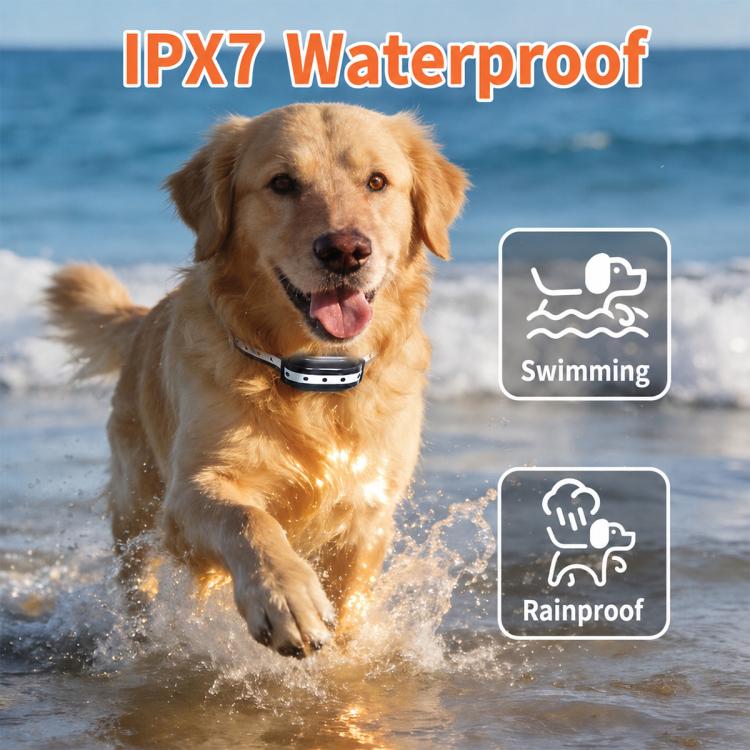PaiPaitek PD519-1 Ultra-long Remote Controll Anti Barking Pet Dog Training Collar, PD519-1