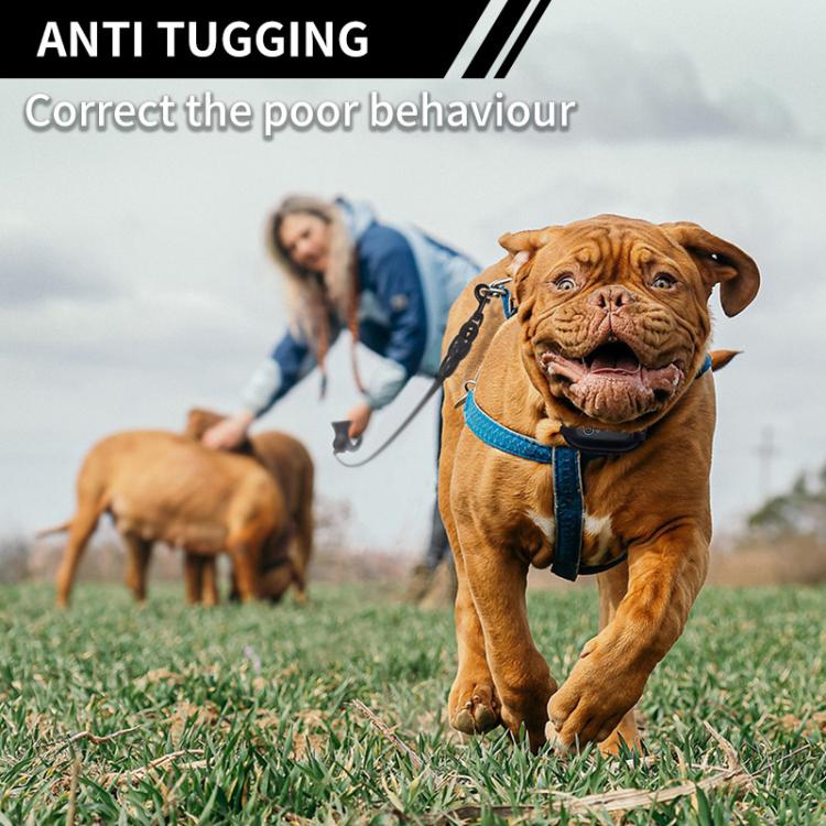 PaiPaitek PD800 Electronic Dog Training Collar with Anti-Tugging Anti-Bark Features, PD800