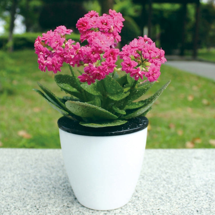 Lazy Flower Pots Automatic Water-absorbing Hydroponic Potted Plants Circular Resin Plastic Flower Pots Double-layer Design Self Watering Planter, Diameter: 13cm, Height: 13.7cm, Diameter: 13cm, Height: 13.7cm