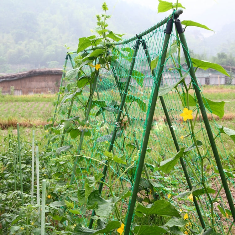 Plants Climb Rattan Frame Adornment Flower Rack Flowers Plants Craft Hanging Decor Gardening Net,Size:1.8 x 1.8m, 1.8 x 1.8m