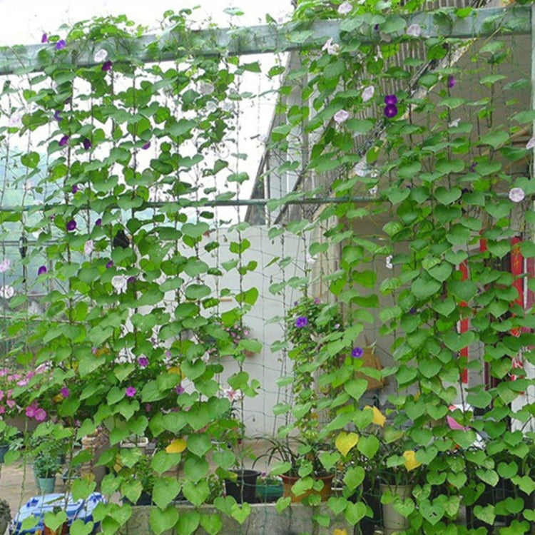 Plants Climb Rattan Frame Adornment Flower Rack Flowers Plants Craft Hanging Decor Gardening Net,Size:1.8 x 1.8m, 1.8 x 1.8m