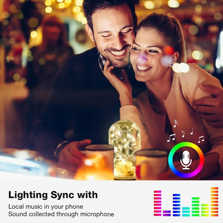 Christmas Decoration RGB Copper Wire String Light Bluetooth Mobile APP Control, Length: 5m 50 LEDs, 5m 50 LEDs