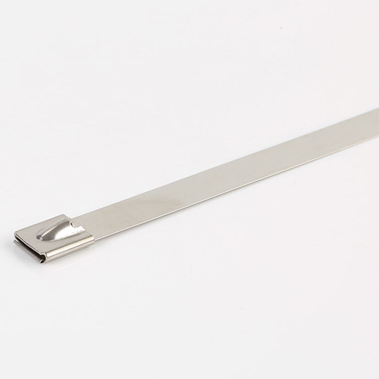 100 PCS 4.6x300mm Stainless Steel Metal Cable Ties Tie Zip Wrap Exhaust Heat Straps Induction Pipe, 4.6x300mm