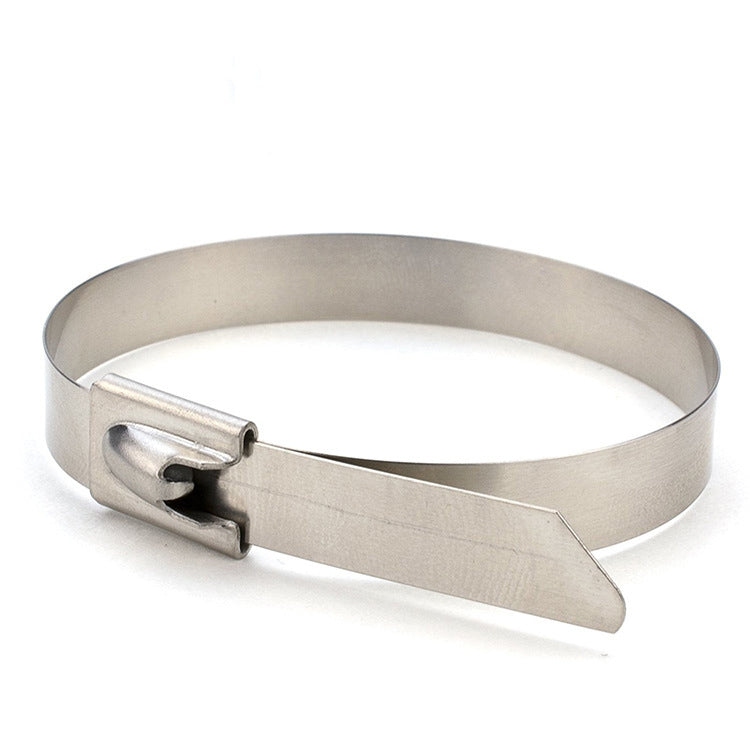 100 PCS 4.6x450mm Stainless Steel Metal Cable Ties Tie Zip Wrap Exhaust Heat Straps Induction Pipe, 4.6x450mm