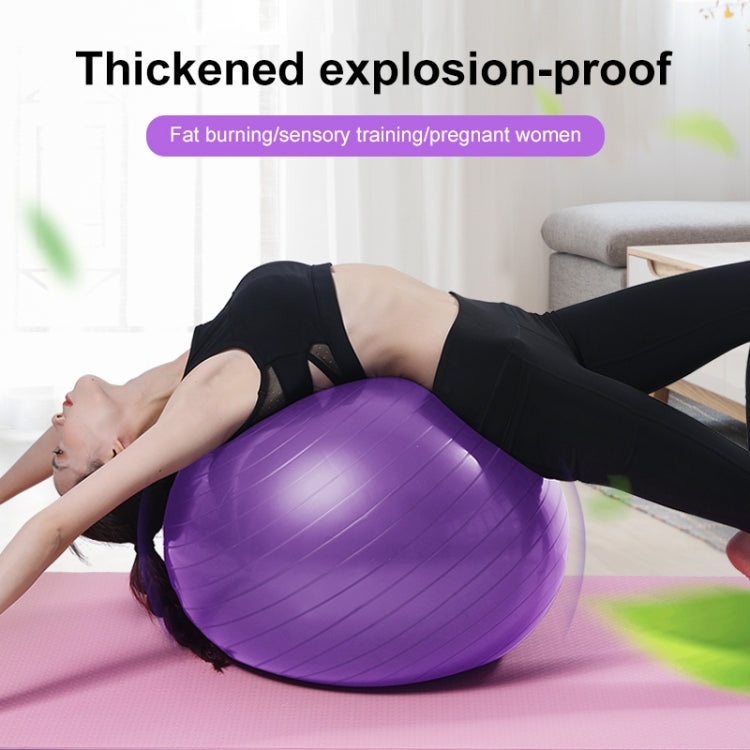 Thickening Explosion-proof Big Yoga Ball Sport Fitness Ball Environmental Pregnant Yoga Ball, Diameter: 55cm, 55cm(Pink), 55cm(Blue), 55cm (Purple)