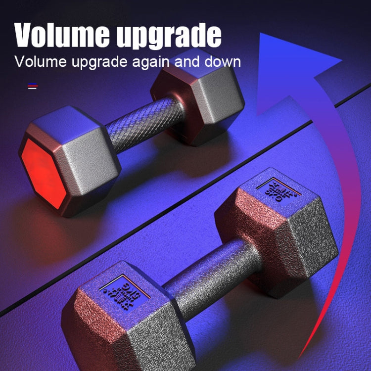 12KG A Pair Household Glue Fitness Hexagon Dumbbells, 12KG