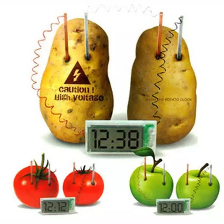 DIY Novel Green Science Potato Digital Clock Educational Kit with 2 inch LCD Screen (Potato NOT Included), Potato Digital Clock