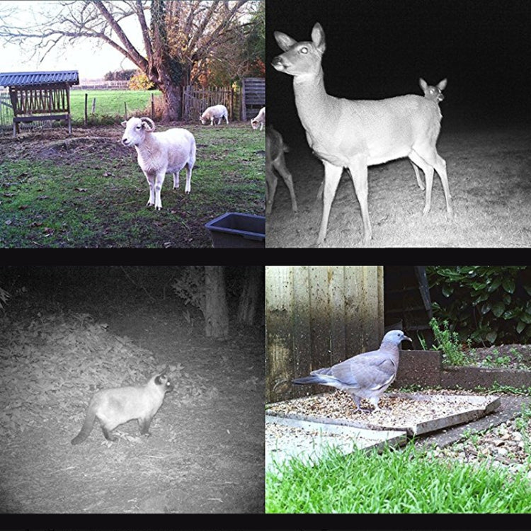 HC300M 2.0 inch LCD 12MP Waterproof IP54 IR Night Vision Security Hunting Trail Camera with MMS Function, HC-300M