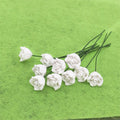 10 PCS 1:12 Mini Doll House Garden Bedroom Scene Decoration Roses, White