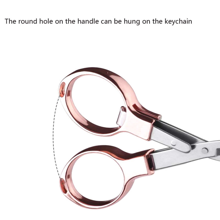5 PCS Fishing Special Scissors Foldable Stainless Steel Fishing Tackle, Style:Plastic Handle, Color:Color Random Delivery, Plastic Handle Color Random Delivery, Metal Handle Color Random Delivery