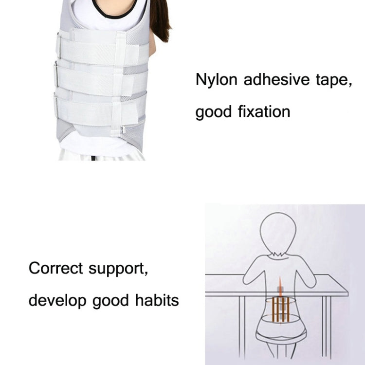 Thoracolumbar Fixation Belt Strap Type Protective Gear with Airbag, Regular Style S, Regular Style M, Regular Style L, Regular Style XL, Mesh Style S, Mesh Style M, Mesh Style L, Mesh Style XL