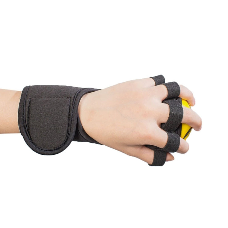 2 in 1 Grip Ball Strengthening Hand Strength Training Grip Device Set, 2 in 1 Grip Device Set