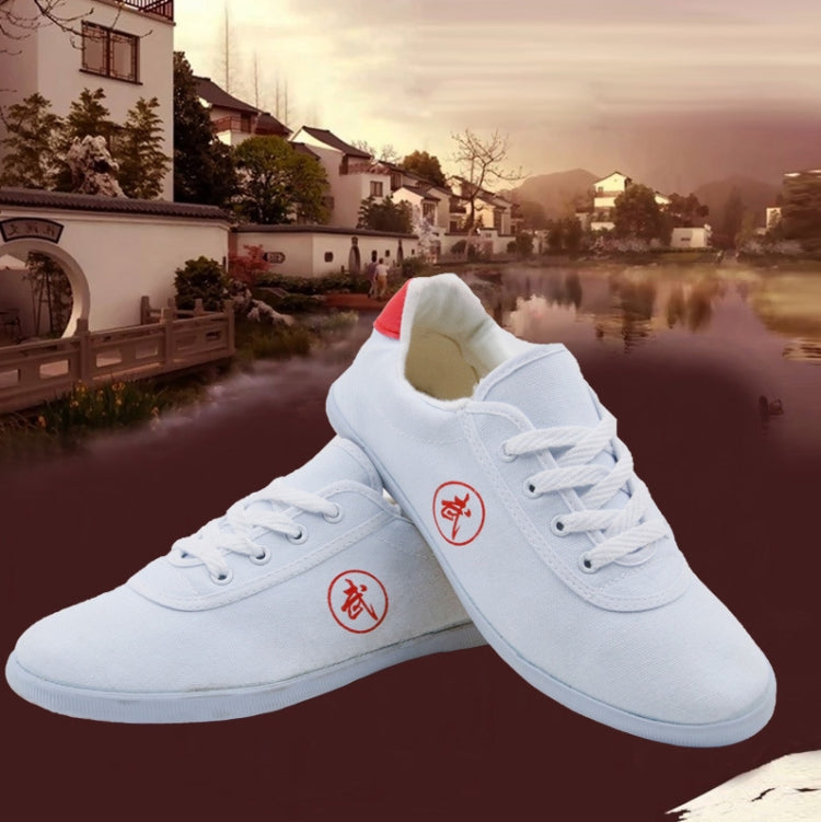 Tai Chi Martial Arts Taekwondo Performance Shoes Tendon Sole Sneakers, 27/170, 28/180, 29/190, 30/200, 32/210, 33/215, 34/220, 35/225, 36/230, 37/235, 38/240, 39/245, 40/250, 41/255, 42/260, 43/265, 44/270, 45/275, 46/280