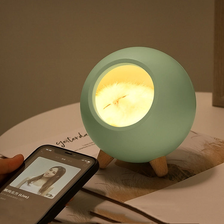 Pet Housing Bluetooth Nightlight Rechargeable Little Cat Desktop Night Light, Pink, Green, White