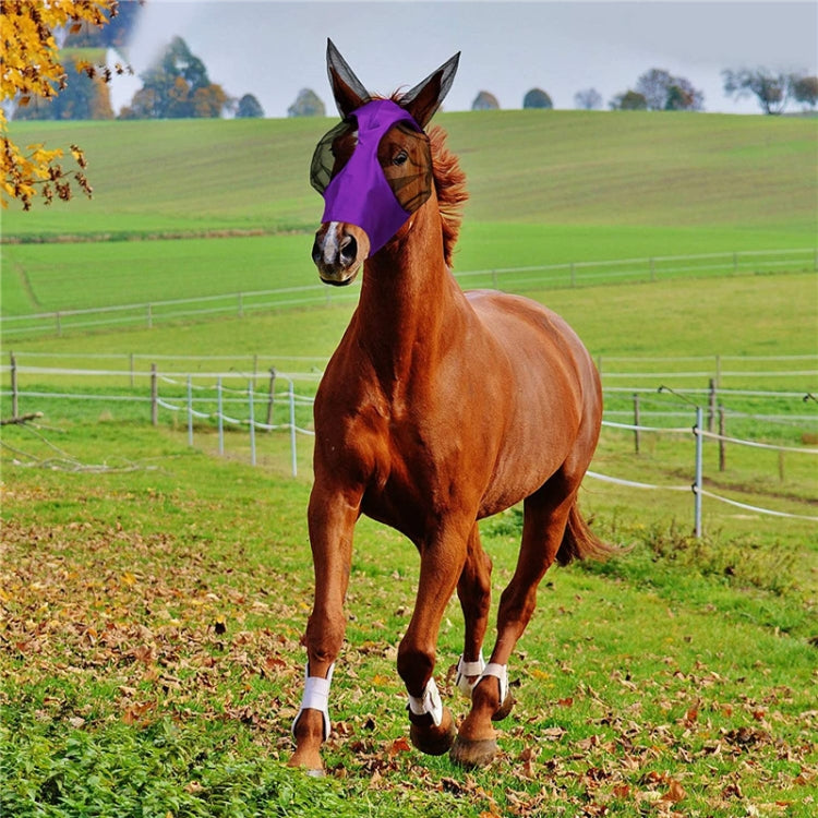 MMZ-001 Breathable Horse Mask Mosquito Insect And Fly Mask Equestrian Supplies, Horse Mask (Blue), Horse Mask (Purple), Horse Mask (Rose Red), Horse Mask (Grey), Horse Mask (Black)