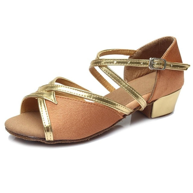 Tango Salsa Latin Low Heel Soft Bottom Dance Shoes for Girls & Women, 24, 25, 26, 27, 28, 29, 30, 31