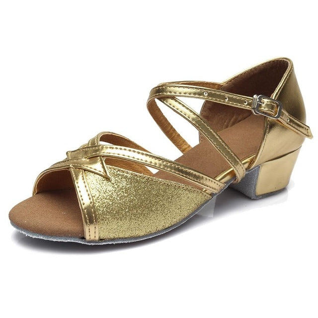 Tango Salsa Latin Low Heel Soft Bottom Dance Shoes for Girls & Women, 41, 39