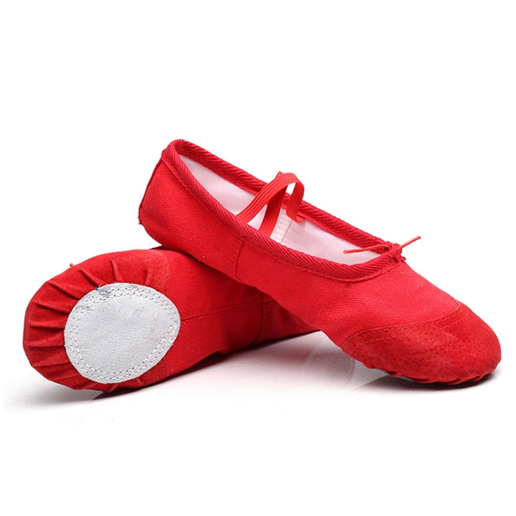 Flats Soft Ballet Shoes Latin Yoga Dance Sport Shoes for Children & Adult, 23, 24, 25, 26, 27, 28, 29, 30, 31