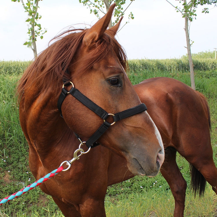 Nylon Full-Line Board Horse Rein Headstall Equestrian Supplies, S (Red), S (Black), M (Red), M (Black), L (Red), L (Black)