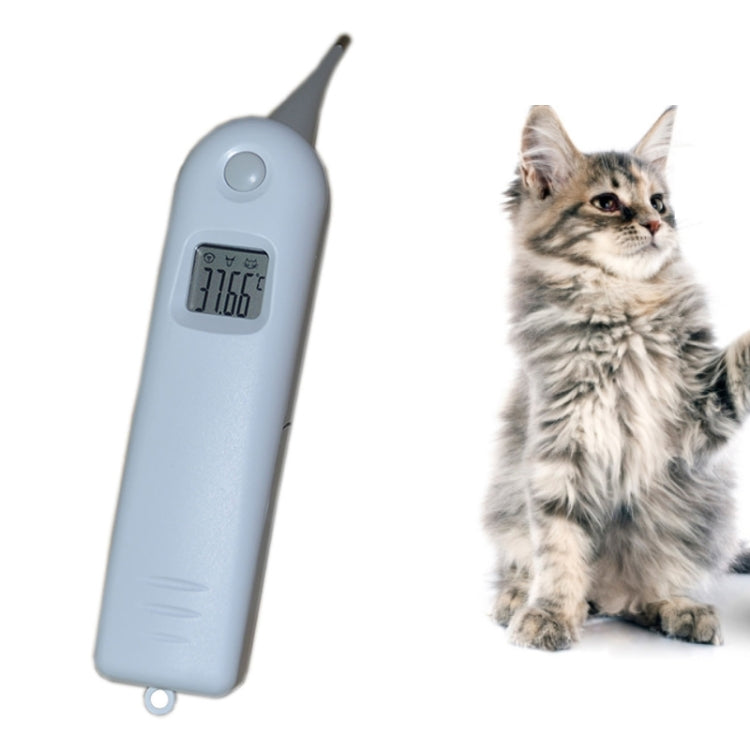 Large Screen Electronic Fast Veterinary Thermometer, Veterinary Thermometer