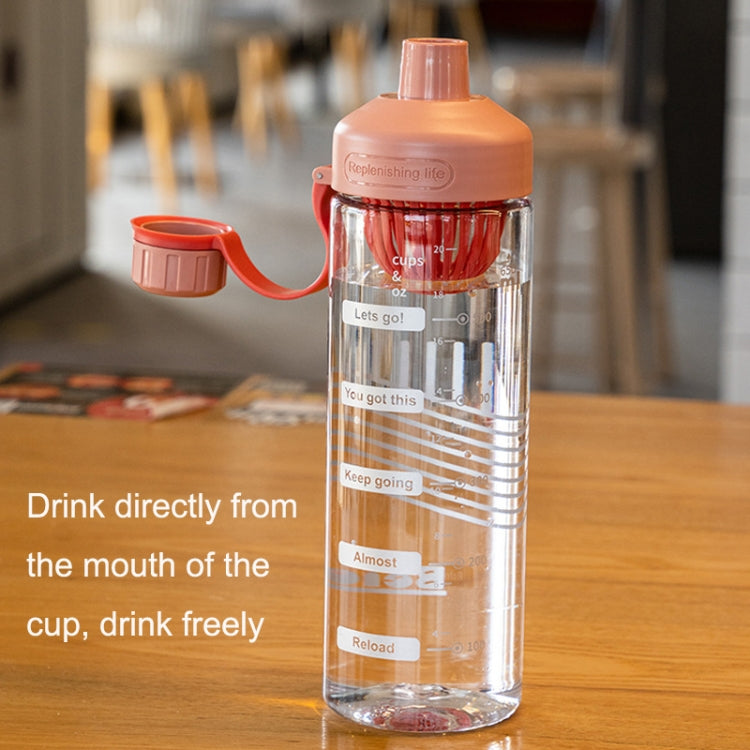Summer Portable High Temperature Resistant Tea Leaking Plastic Cup, 550ml, 650ml