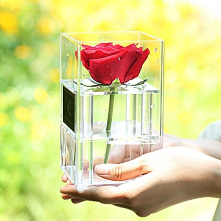 Square Transparent Acrylic Gift Box Flower Box, 1 Hole, 4 Holes, 9 Holes, 16 Holes, 25 Holes, 36 Holes