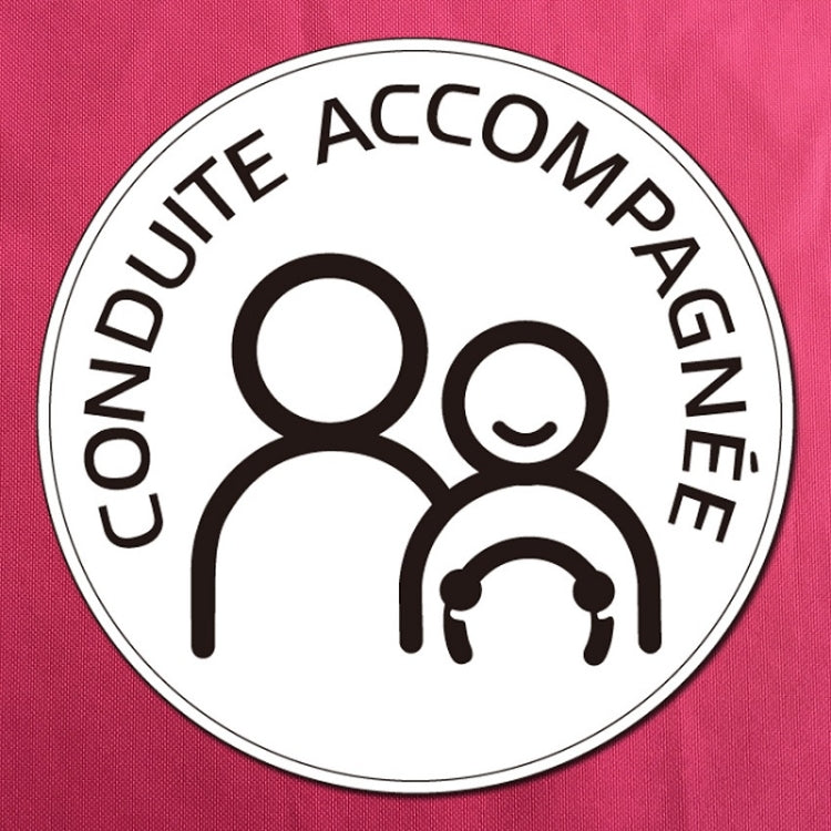 20 PCS Dual People Waterproof And Sun Protection Magnetic Car Sticker, Dual People