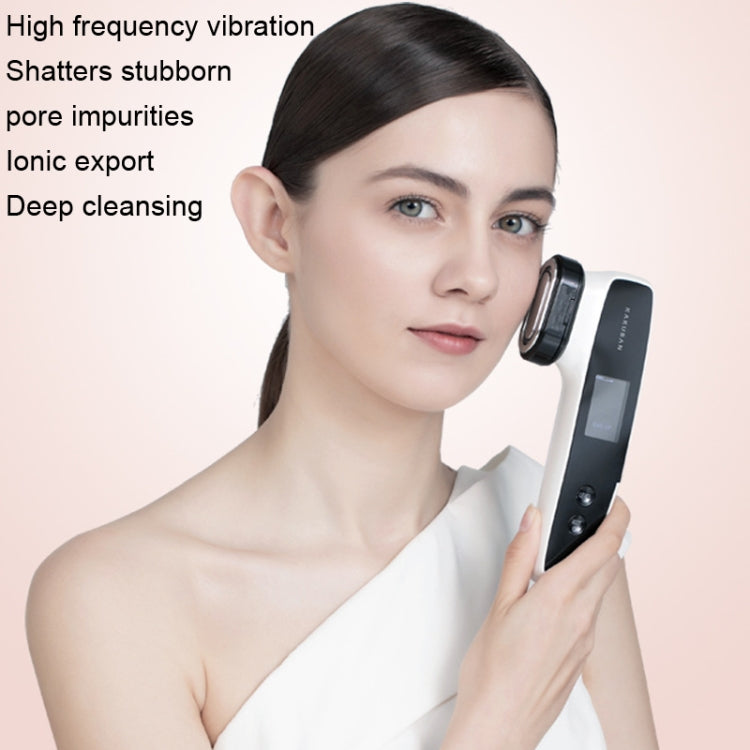 KAKUSAN KKS154-A EMS Microcurrent Home Photonic Skin Rejuvenation RF Beauty Instrument, KKS154-A