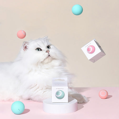 0001 Smart Gravity Teaser Cat Rolling Ball Teeth Resistant Cat Toys, Roller Pink, Roller Blue