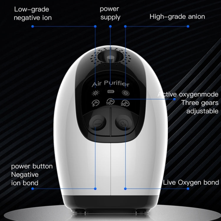 Negative Ion & Ozone Dual Mode Air Purifier Disinfection Machine To Remove Formaldehyde Bacteria