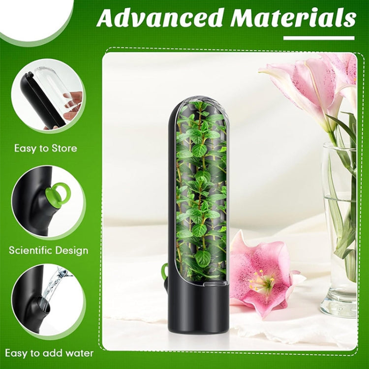 Herb Crisper Vegetable Keep Fresh Container Cilantro Herb Storage Container, 24.5 x 6.5 cm