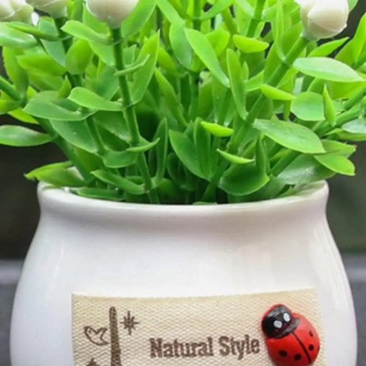 Mini Car Potted Ornaments Decoration Simulated Flower Pots, Lucky Fruit White Bottle, Lucky Fruit Black Bottle