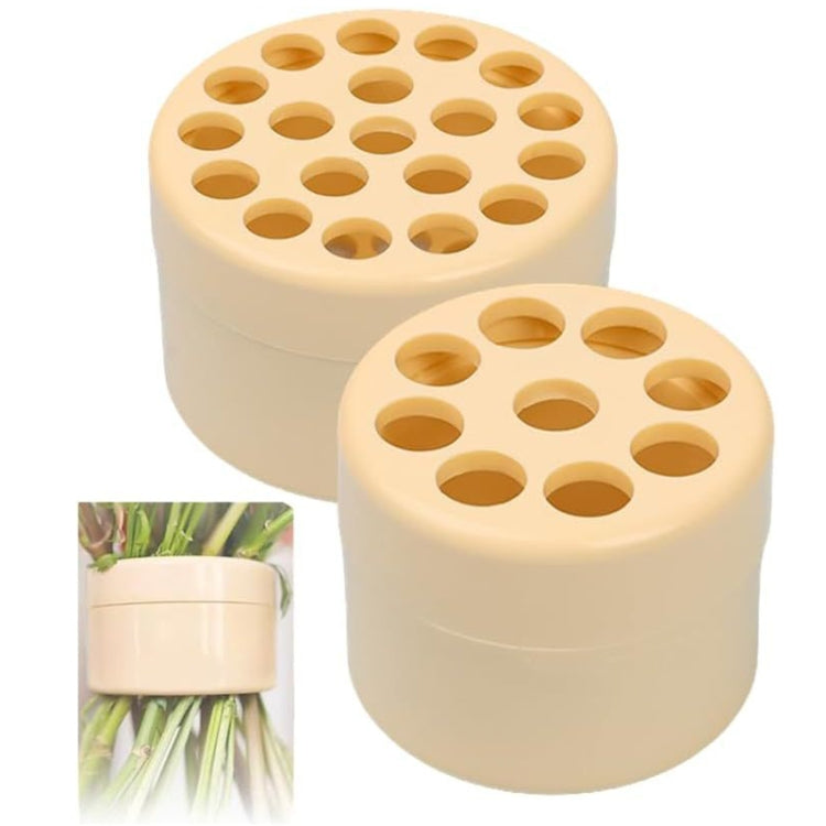 Spiral Ikebana Stem Holder for Vases DIY Bouquet Twister Flower Arrangement Holder, Large, Small