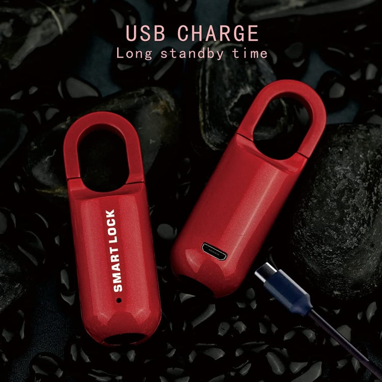 Smart USB Charging Bag Fingerprint Padlock Furniture Backpack Lock