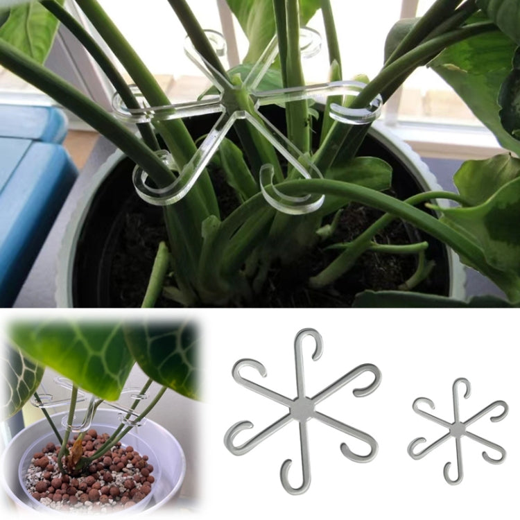 Plant Stem Support Bracket Garden Vegetable Plant Root Stem Holder, Small, Large