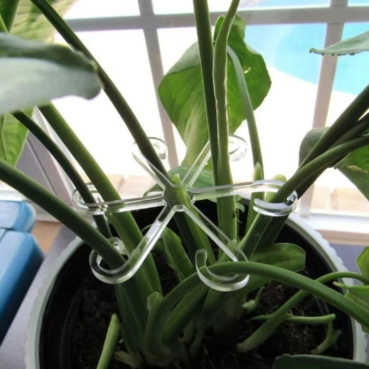 Plant Stem Support Bracket Garden Vegetable Plant Root Stem Holder, Small, Large