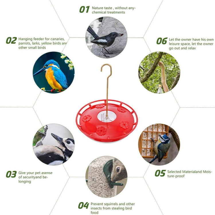 Outdoor Garden Patio Hanging Hummingbird Feeder