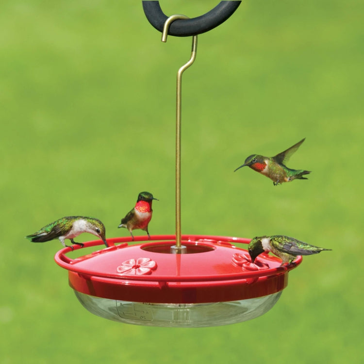 Outdoor Garden Patio Hanging Hummingbird Feeder