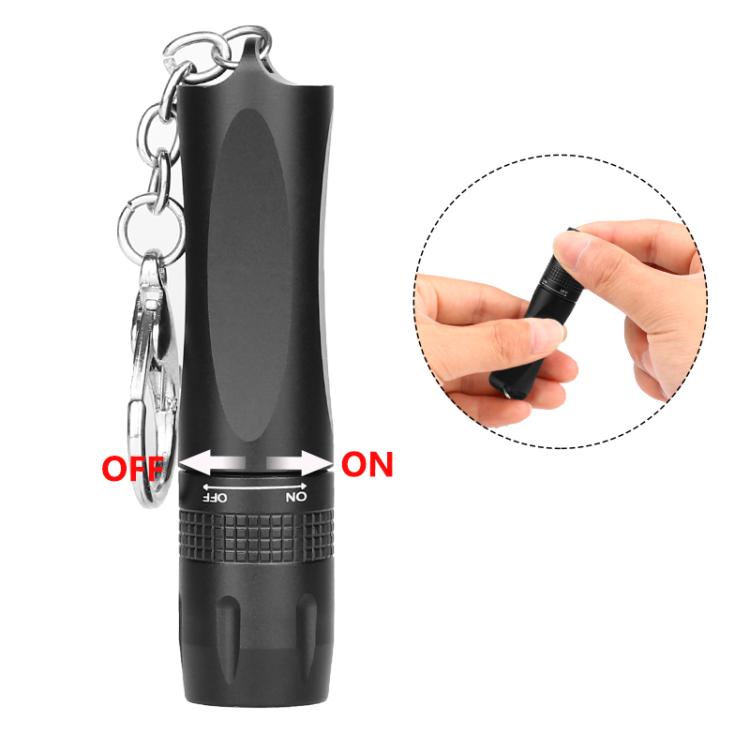 Small LED Portable Flashlight With Keychain