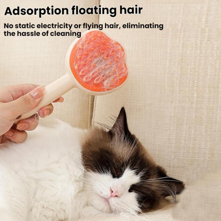 Pet Cleaning Spray Massage Comb