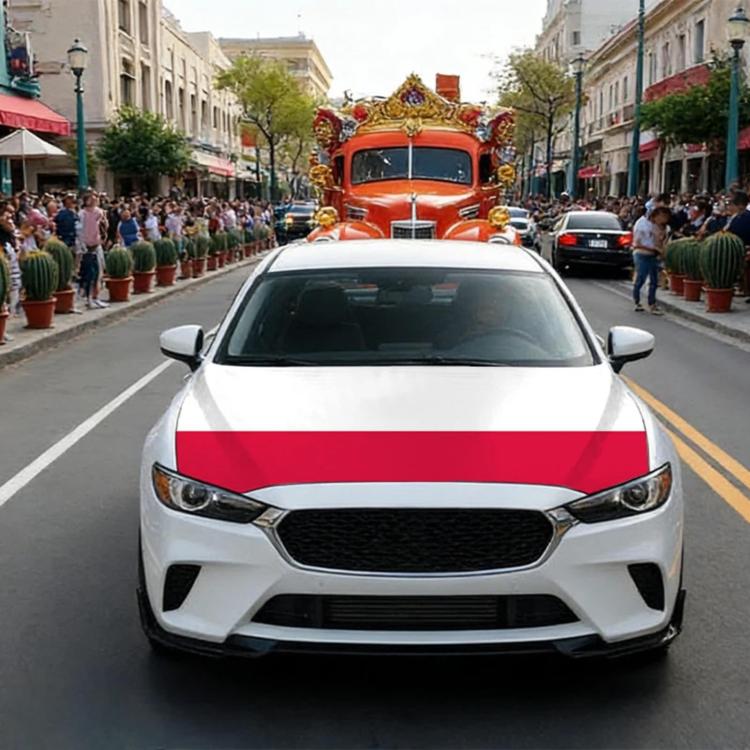 USA-Canada-Mexico World Cup Cheering Flag Dustproof Car Cover, Poland, Scotland, Denmark, Ecuador, Senegal, Cape Verde, Colombia, Costa Rica, Haiti, Netherlands, Croatia, Cura?ao, Peru, Morocco, South Africa, Norway, Sweden, Serbia, Algeria, Tunisia   ...