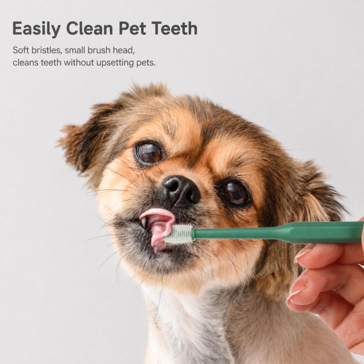 HistoTree 360 Degree Pet Toothbrush for Cats and Small Dogs Soft TPE Micro Brush Head, Rectangular Green, Rectangular White, Round Green, Round White, Round Light Blue
